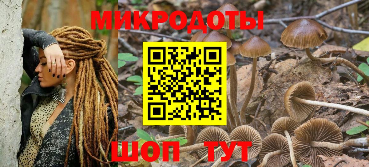 сколько стоит  Галлюциногенные грибы мухоморы  Вход с VPN  Галлюциногенные грибы Cubensis  Самара 